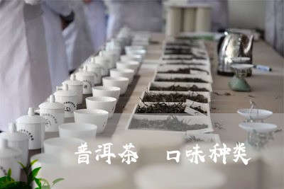 普洱茶 口味种类/2023041092935